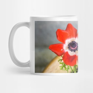 Anemone coronaria De Caen Mug